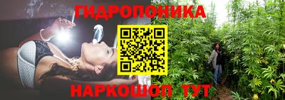 ПСИЛОЦИБИНОВЫЕ ГРИБЫ Краснокаменск