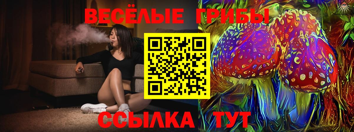 Камышлов  Псилоцибиновые грибы GOLDEN TEACHER  Псилоцибиновые грибы мухоморы  Вход с VPN 